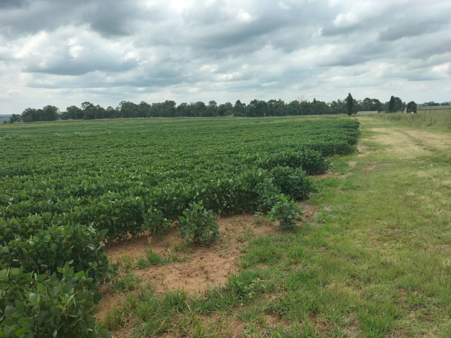 0 Bedroom Property for Sale in Bethlehem Rural Free State